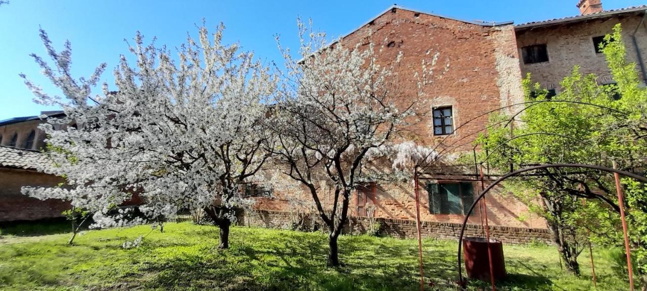 Agriturismo Olivazzi Quattordio Exterior photo